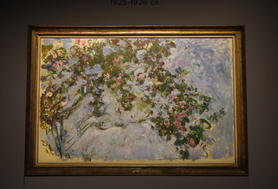 I capolavori di Monet e degli Impressionisti, dal Marmottan a Bologna ...