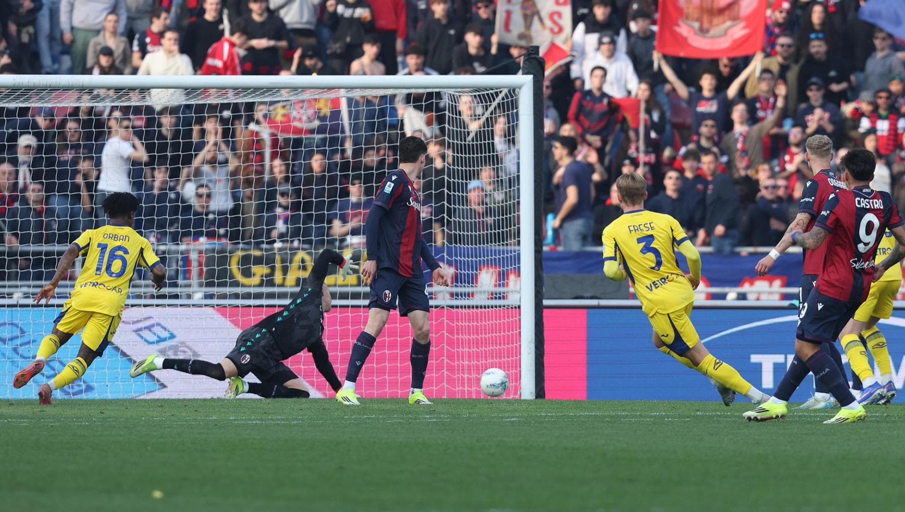 Il Bologna stecca al Dall’Ara con il Verona, finisce 1-2