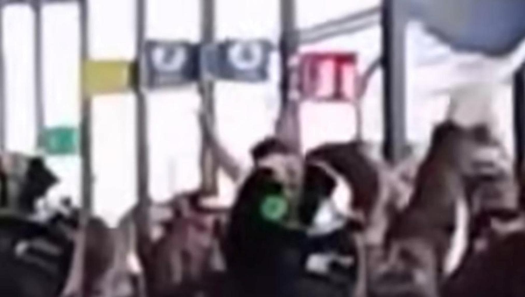 Cori al Duce e saluto nazifascista: la sfilata nera degli ultrà dell’Hellas alla stazione di Bologna