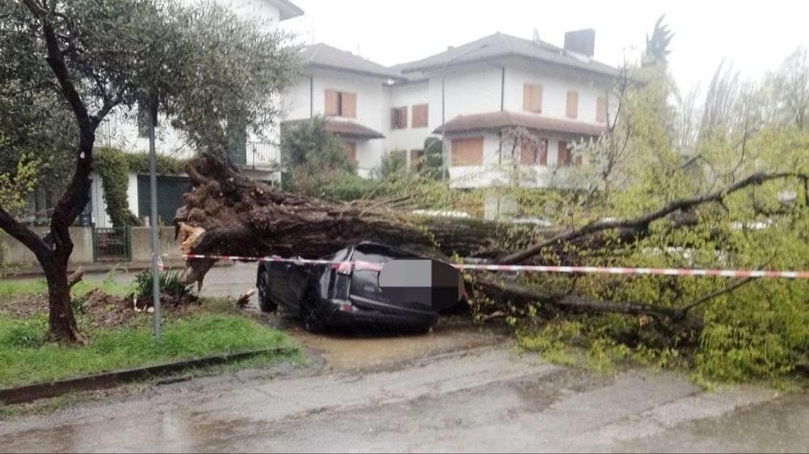 Faenza (Fotoğraf Emilia-Romagna hava durumu)