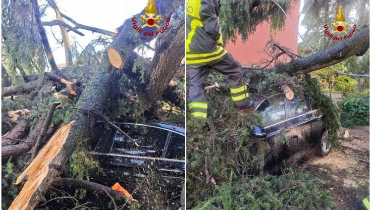 Anteprima: Maltempo, a Bologna 400 richieste di soccorso dei vigili del fuoco per i danni causati da…