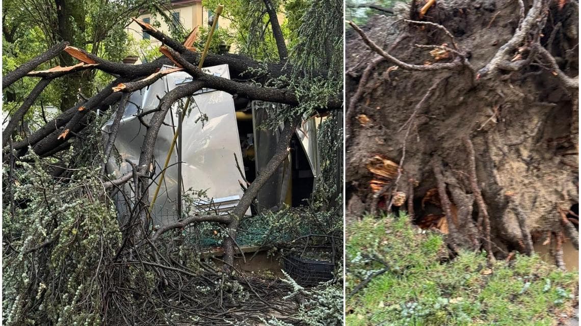 Kötü hava koşulları, Bologna'da yağmur, dolu ve rüzgarın ardından 400 kişi itfaiyecilerden yardım istedi