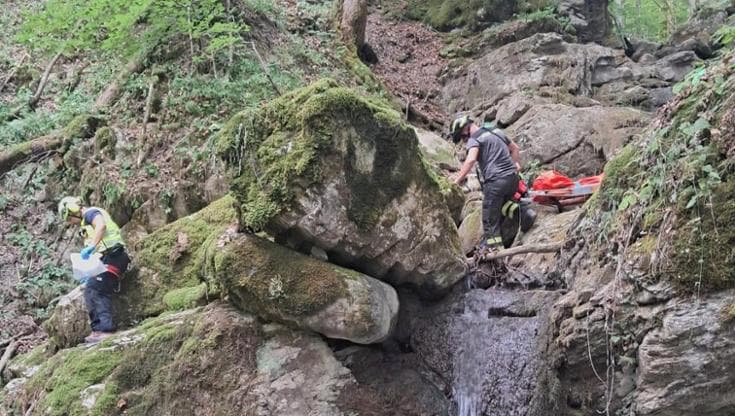 Anteprima: Bosco di Corniglio, papà al campo scout muore per salvare un ragazzino caduto nella scarp…