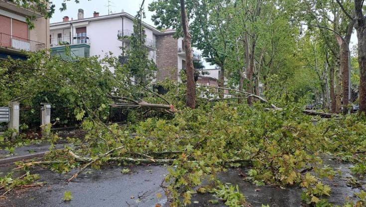 Anteprima: Maltempo Emilia-Romagna, nubifragi e alberi caduti. Forlì, 300 richieste di intervento ai…