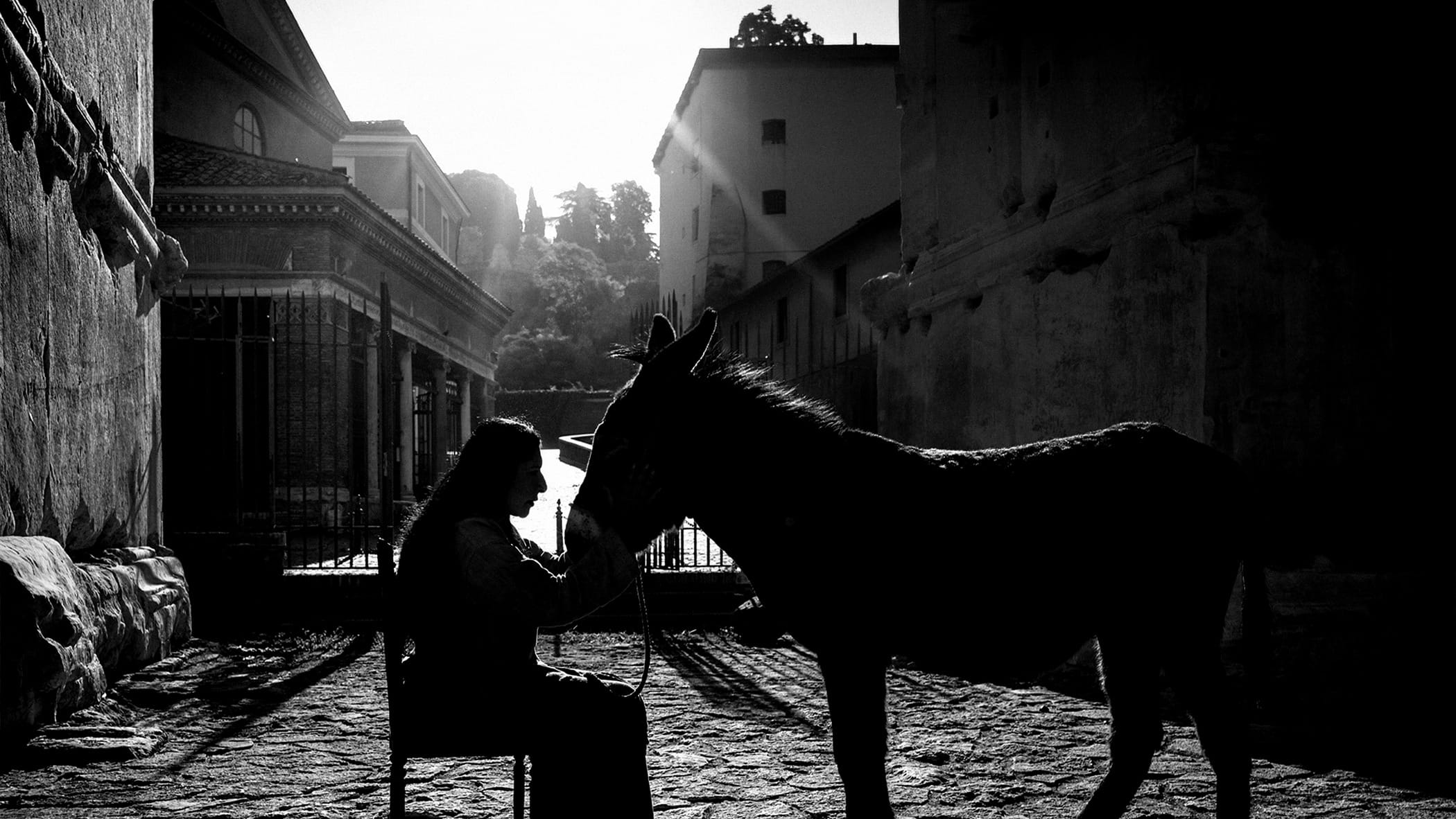 marina abramovi davanti al mio asino dovrebbero sedersi i politici da D.repubblica.it marina abramovi davanti al mio asino dovrebbero sedersi i politici
