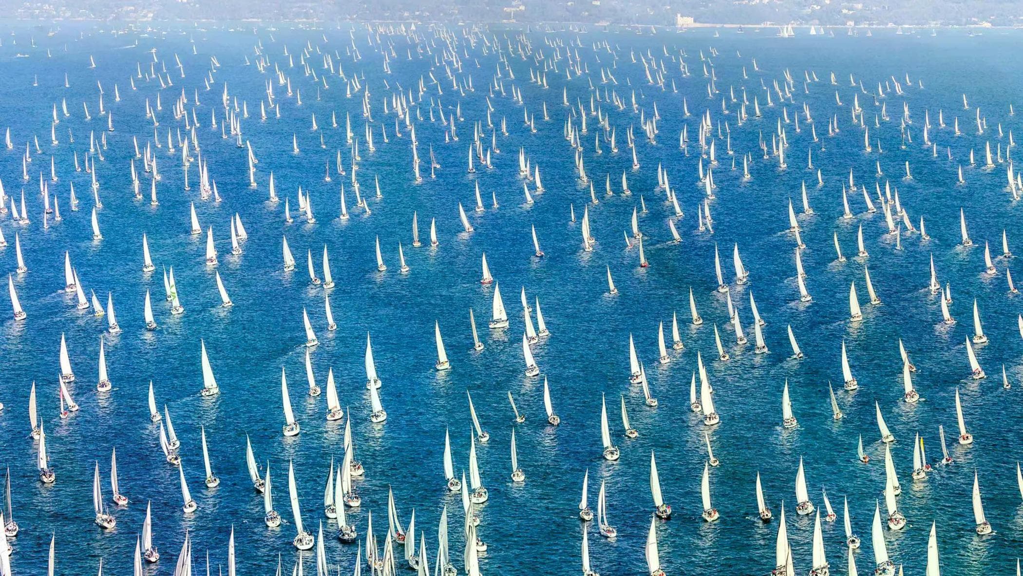 the barcolana the world8217s most pop sailing race da Europe.repubblica.it the barcolana the world8217s most pop sailing race