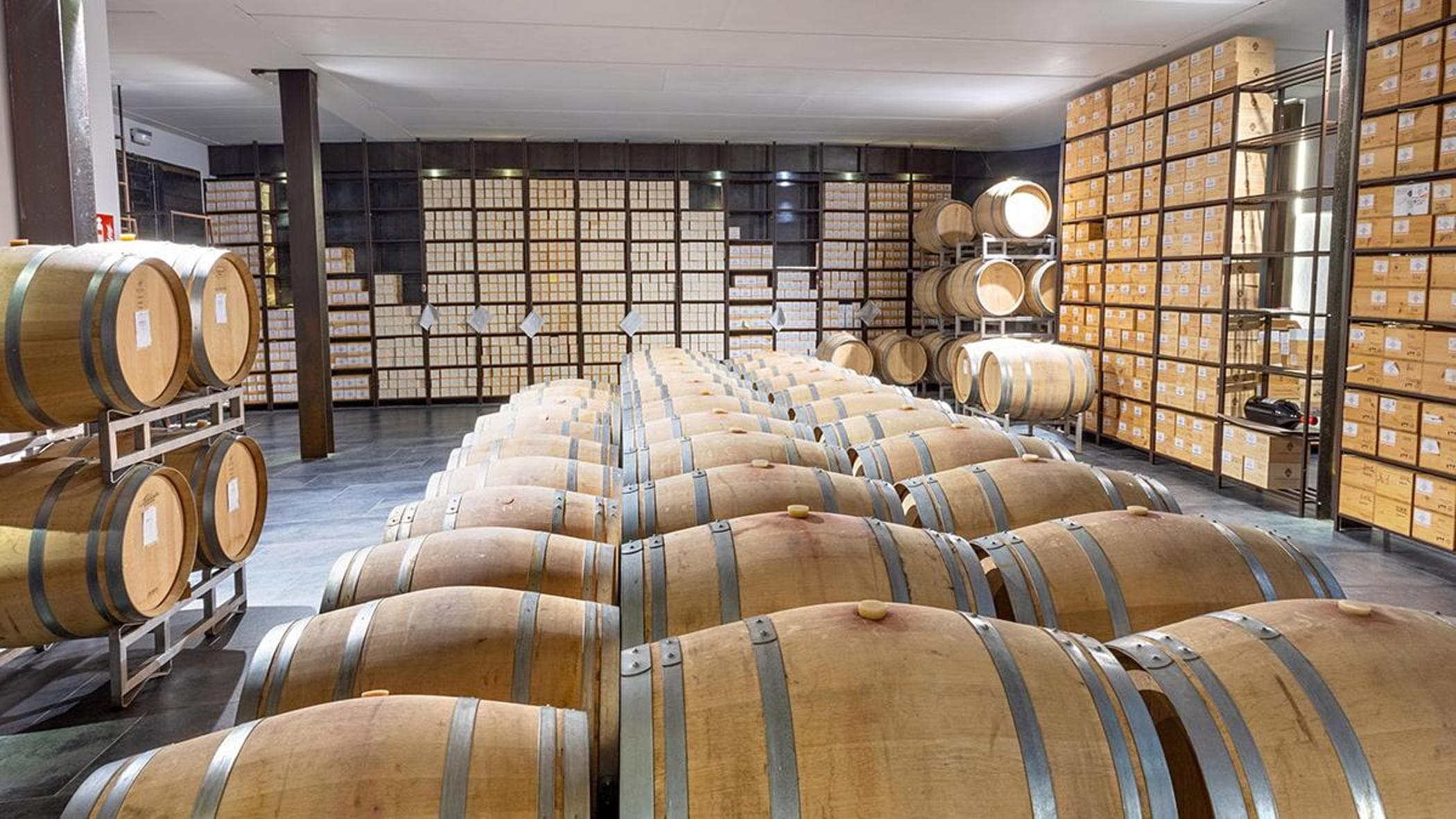 repubblica.it - Andrea Vivaldi - Italy's great wine heists: from winery cellars to the vaults of Michelin-starred restaurants