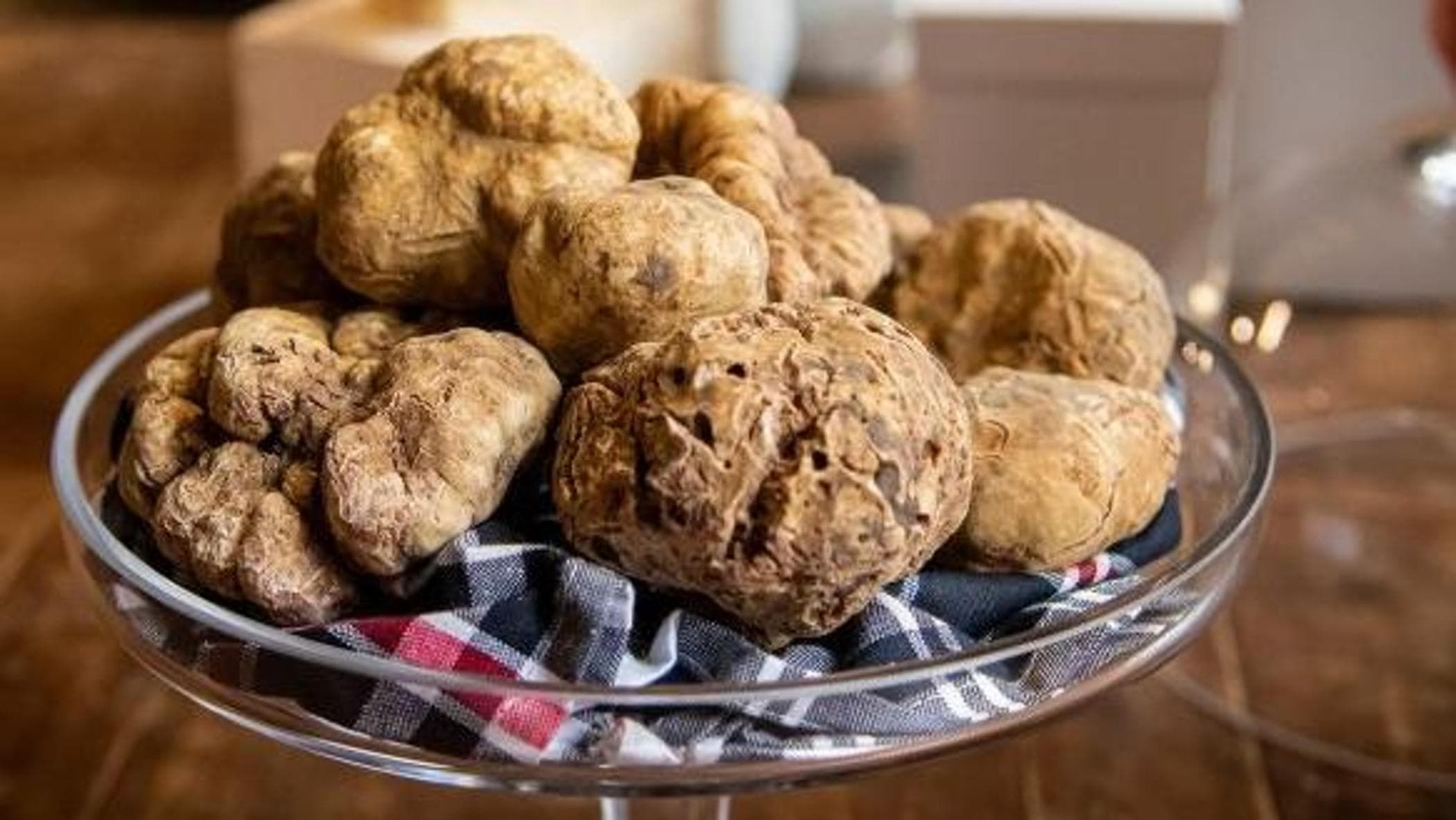 alba8217s white truffle fair showcases the riches of the langhe da Europe.repubblica.it alba8217s white truffle fair showcases the riches of the langhe