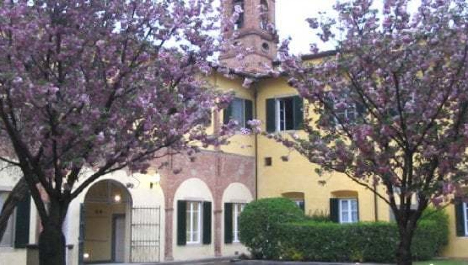 La Scuola Sant Anna Di Pisa In Soccorso Al Prof Turco Licenziato In 