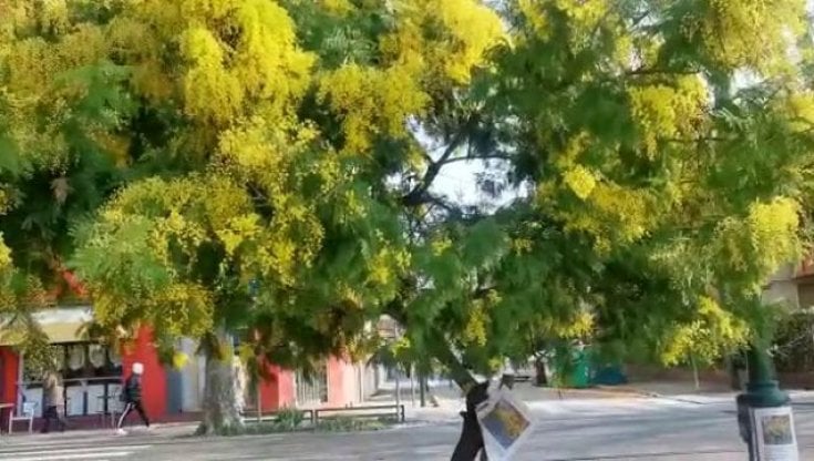 ragazza per incontri