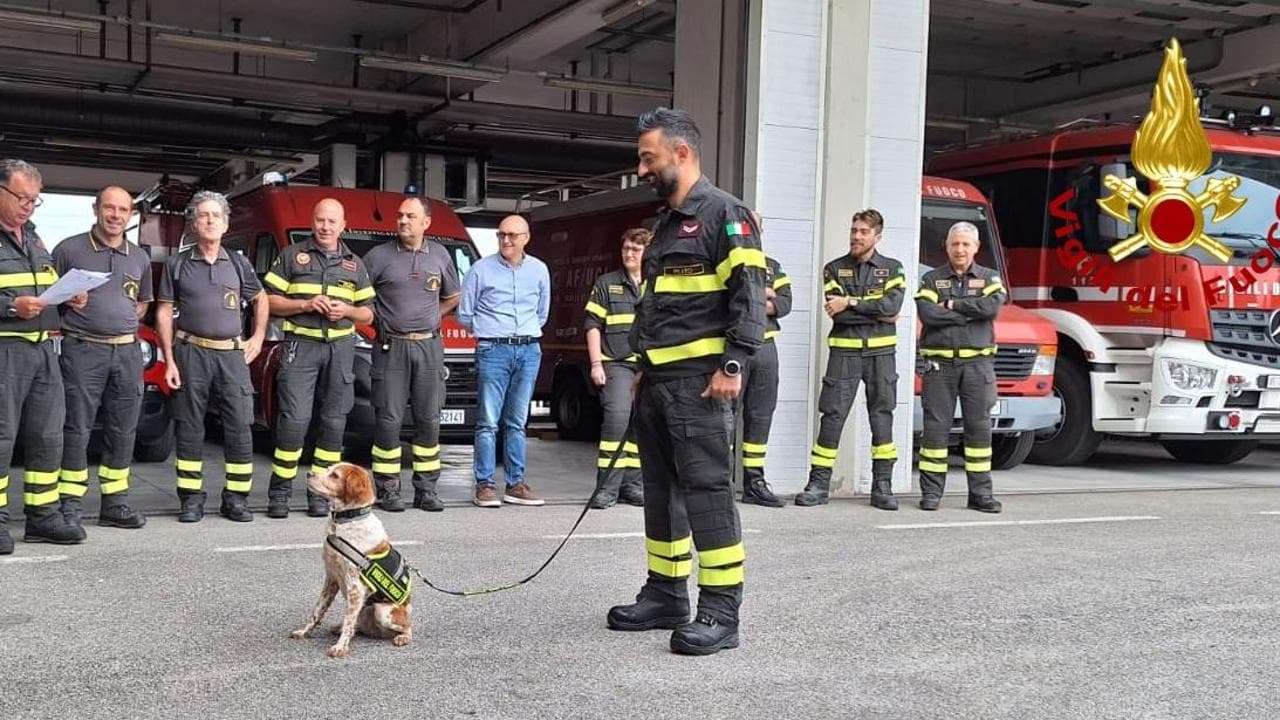 Va in pensione Foglia, il cane dei vigili del fuoco di Prato: “i ...