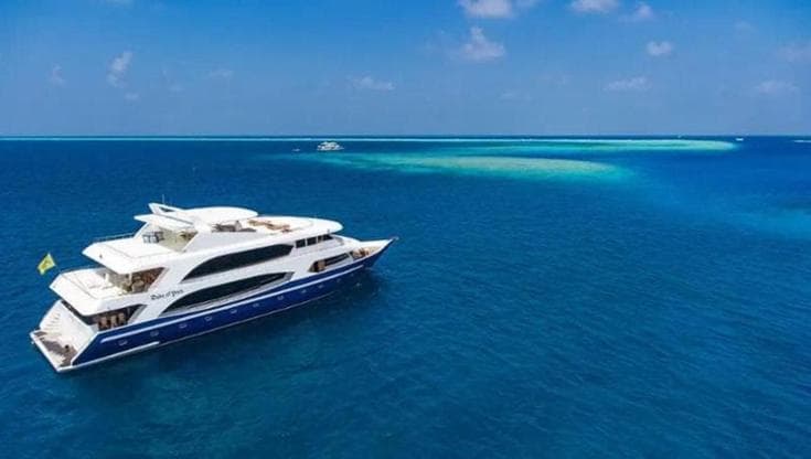 Anteprima: Maldive, tre prof di Genova sentiti in questura: uno di loro consegna pc e telefoni dei s…