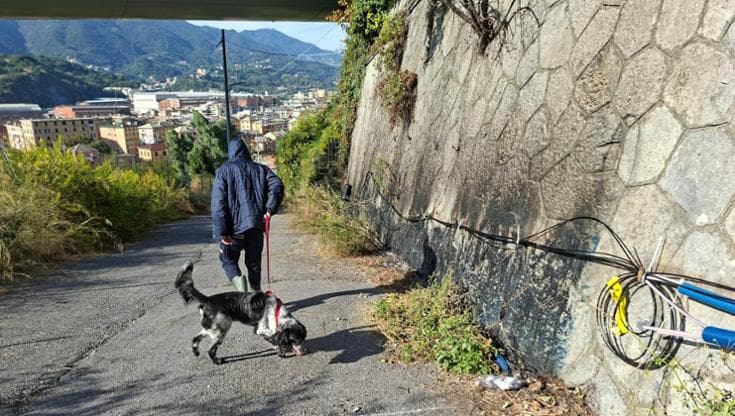 Incendio ai cavi della fibra, sequestrati cinque inneschi. Ancora nessuna rivendicazione