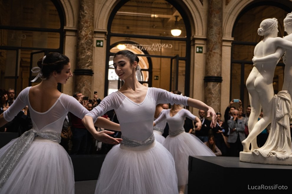 Si Vede Sulla Testa Delle Ballerine Classiche