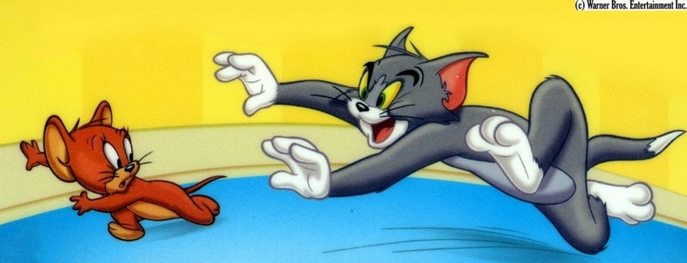 Il Gatto E Il Topo Dei Cartoni