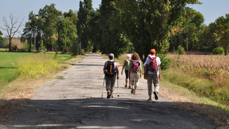 Trovare Compagni Per Il Cammino Di Santiago 2021