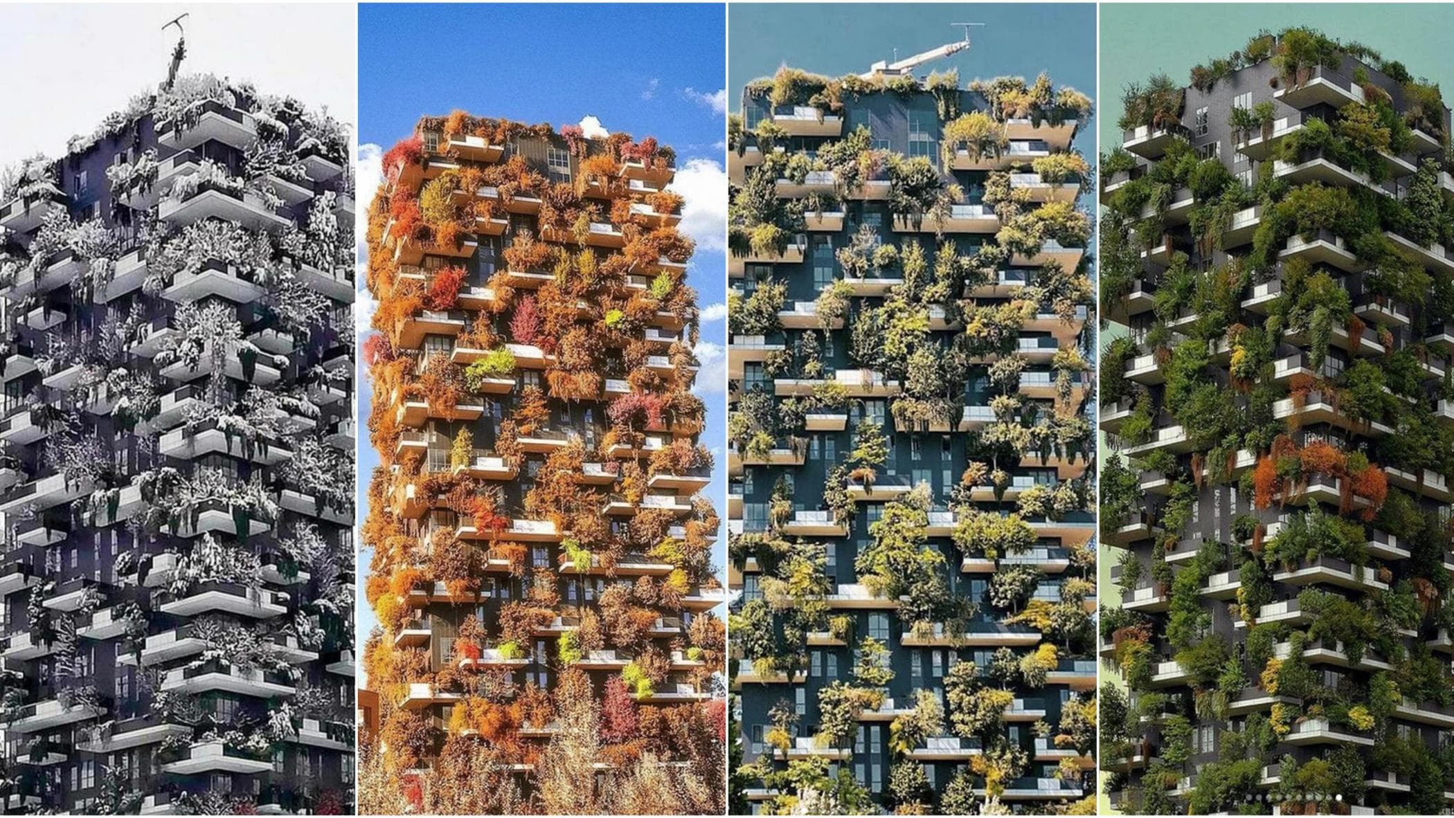 Una serie di diversi colori e forme di diversi colori | Vettore Premium