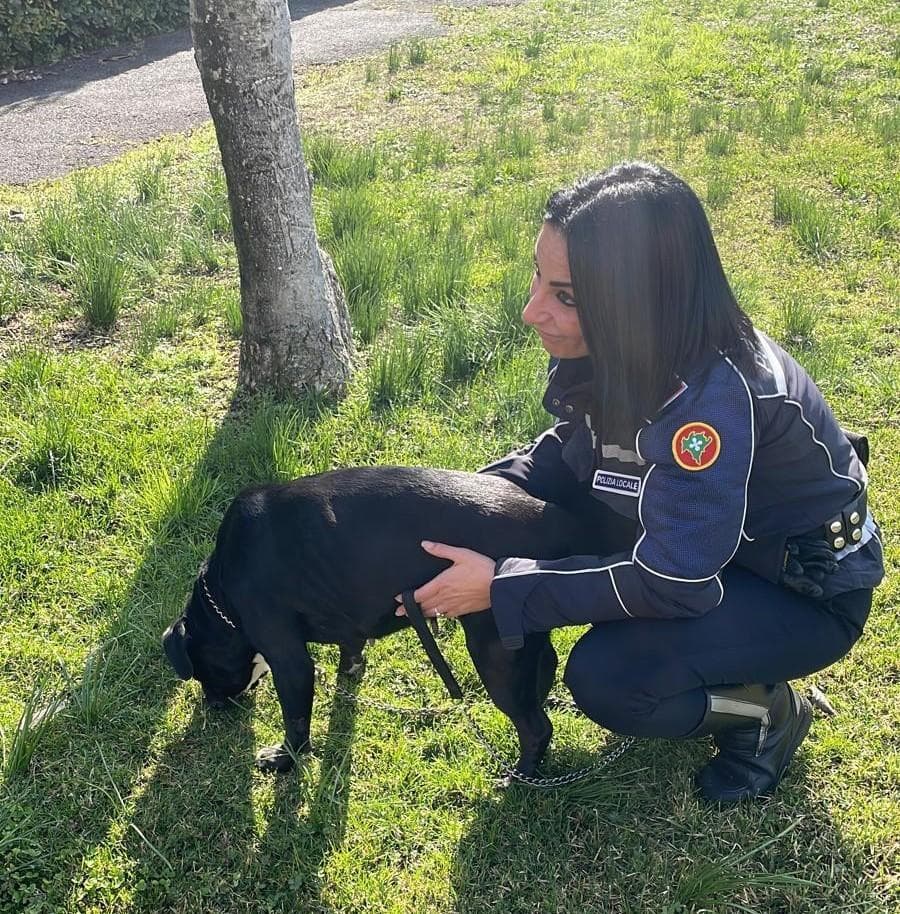 Cane legato a un termosifone per tre giorni senza cibo né acqua a ...