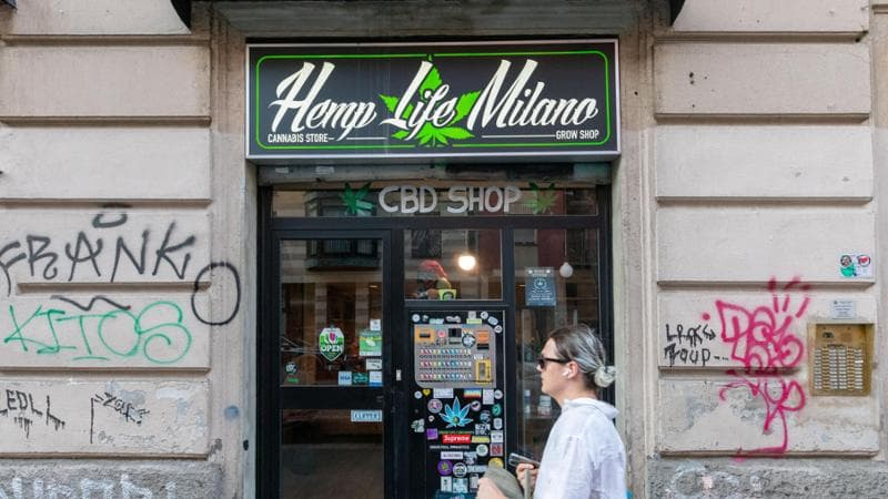 Stop alla cannabis, la rabbia nei negozi di Milano a rischio chiusura - la  Repubblica
