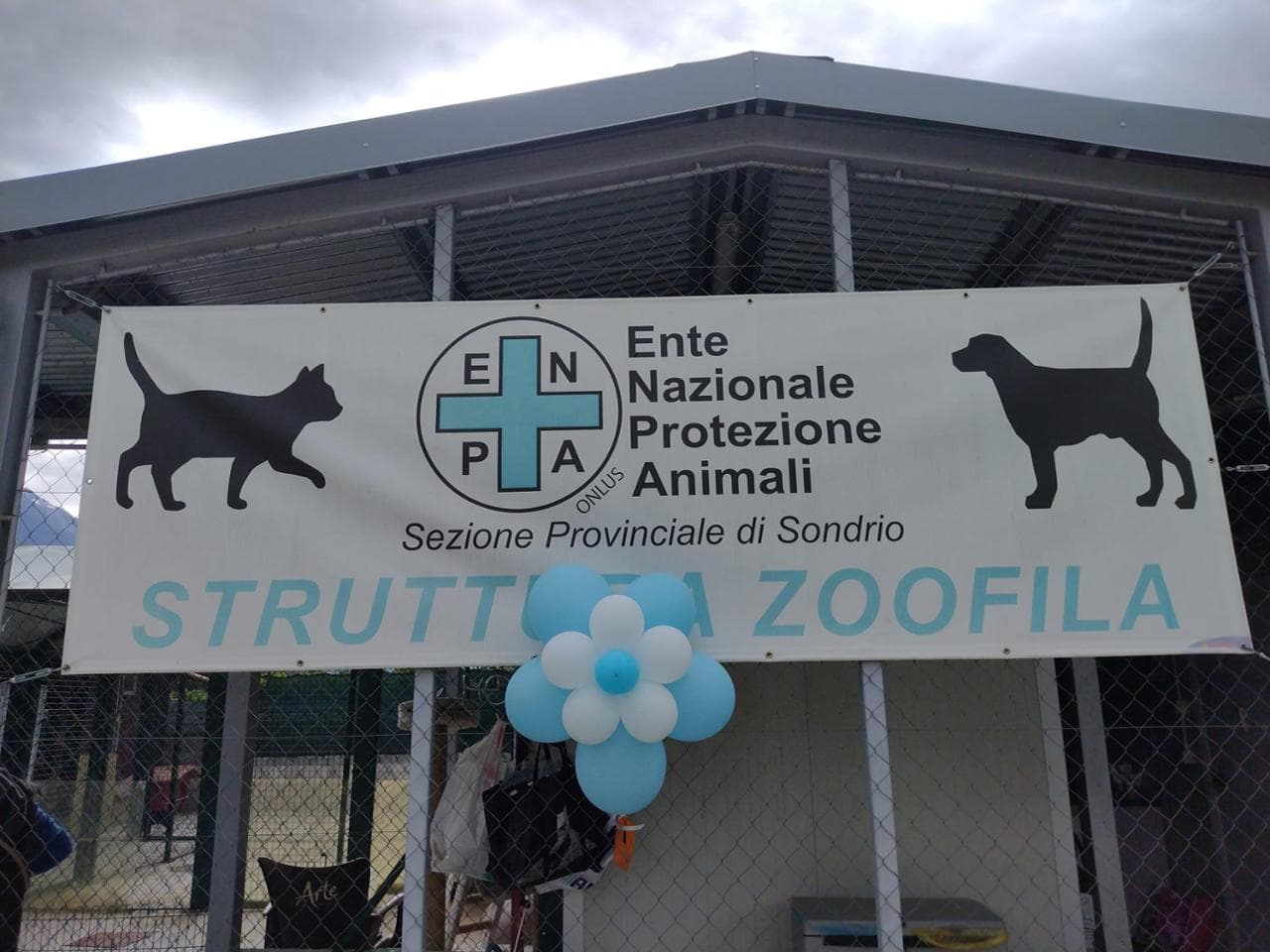 Cuidado con los perros, hay brote de moquillo