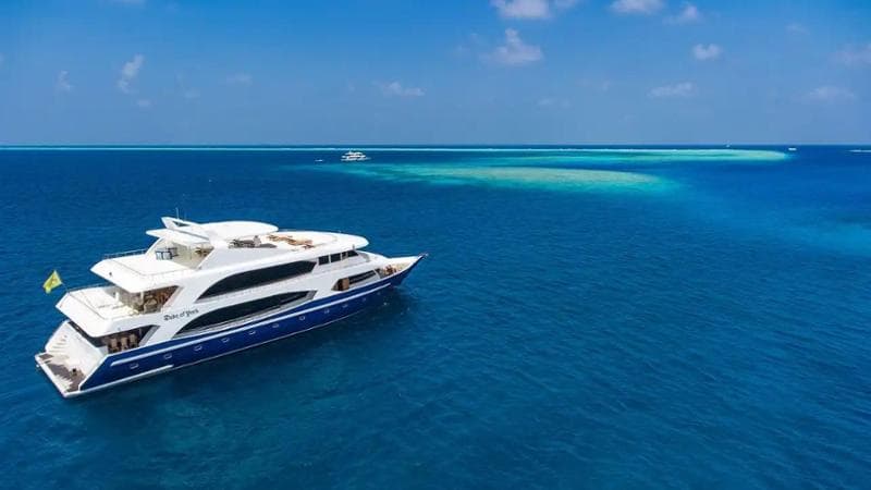 Anteprima: Sub morti alle Maldive, tornati i venti italiani a bordo della barca: “Siamo molto provat…