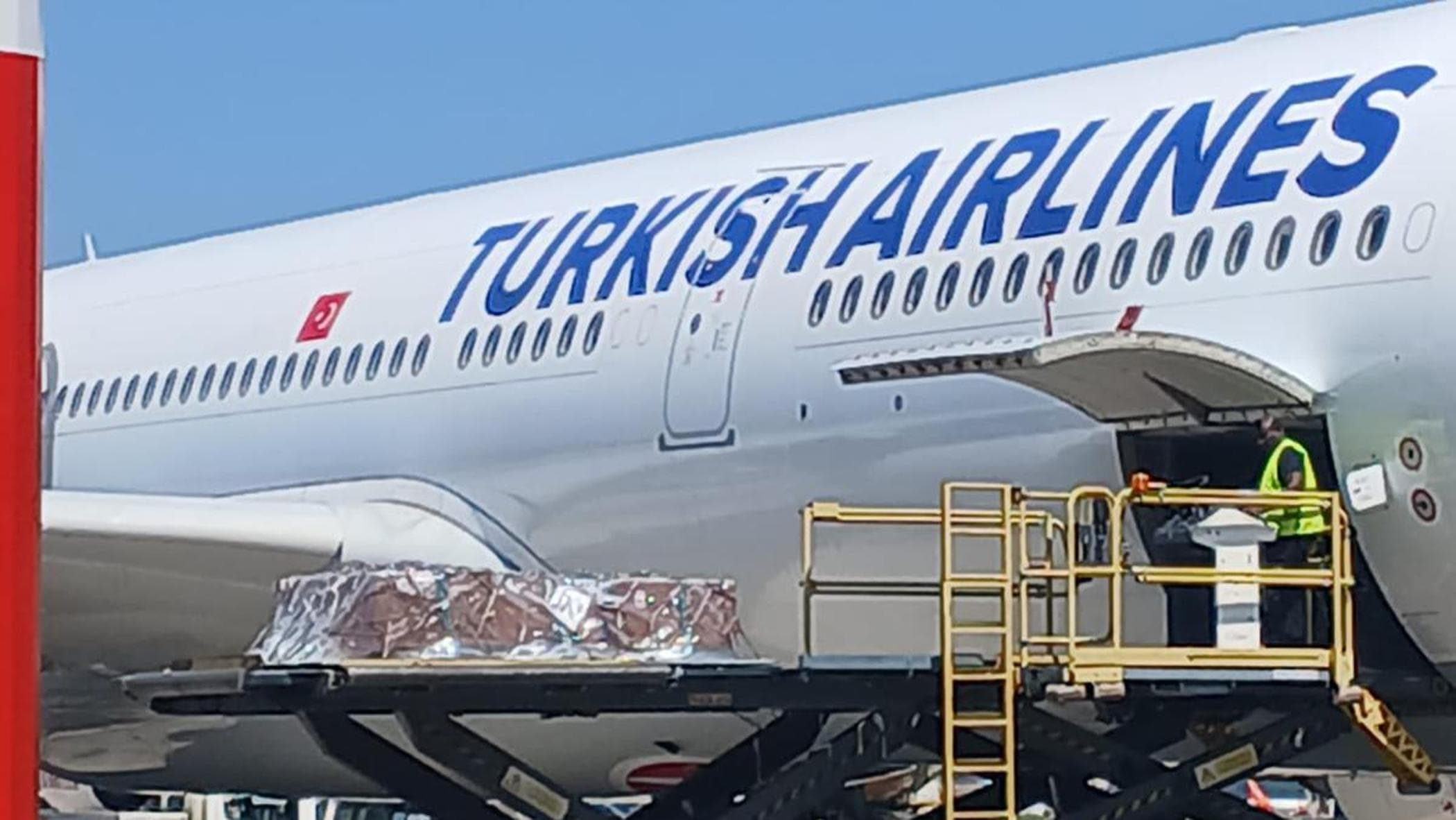 Atterrate a Malpensa le salme dei sub italiani morti alle Maldive: lunedì le autopsie