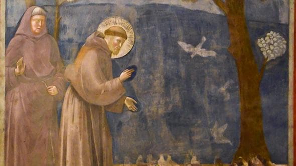 Fraternità, povertà, natura: le parole di Francesco declinate al presente 