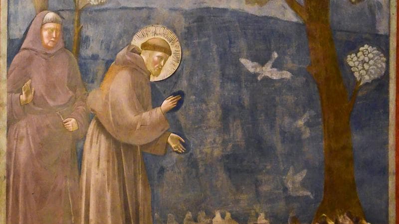 Fraternità, povertà, natura: le parole di Francesco declinate al presente 