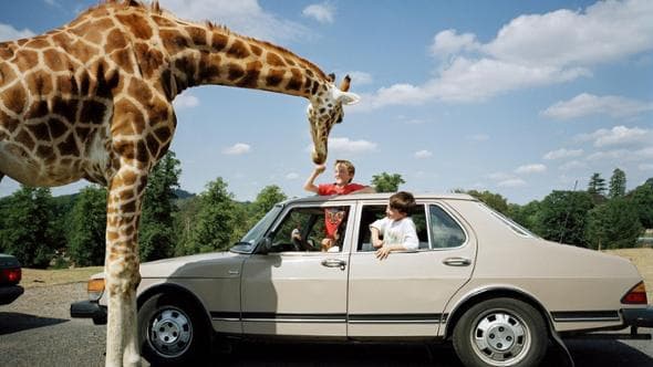 L’umanità kitsch negli scatti di Martin Parr 