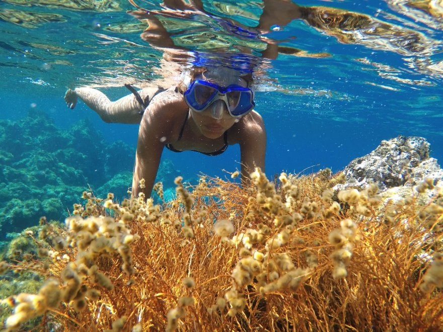 è Indispensabile Per Chi Fa Snorkeling