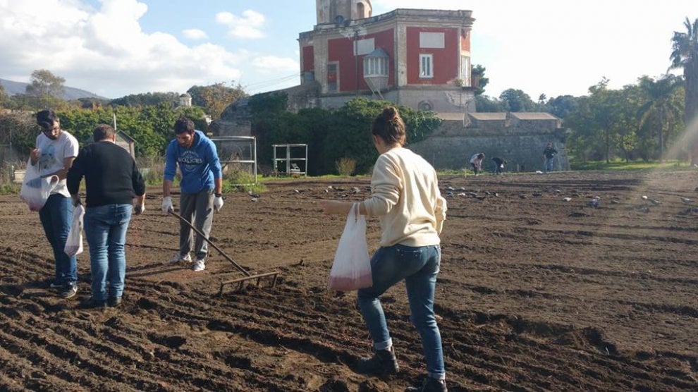 Laurea In Agraria Quanti Anni Sono