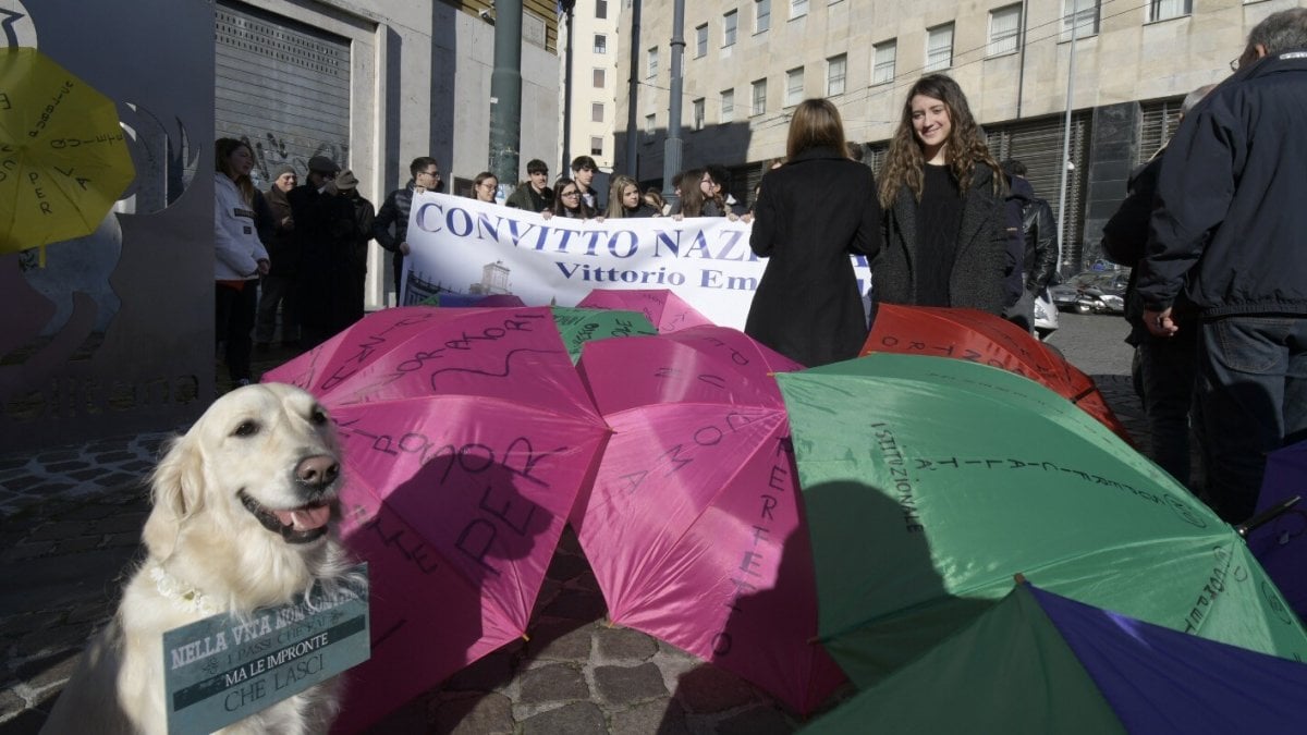 Movida selvaggia Napoli sfila con gli ombrelli colorati Repubblica