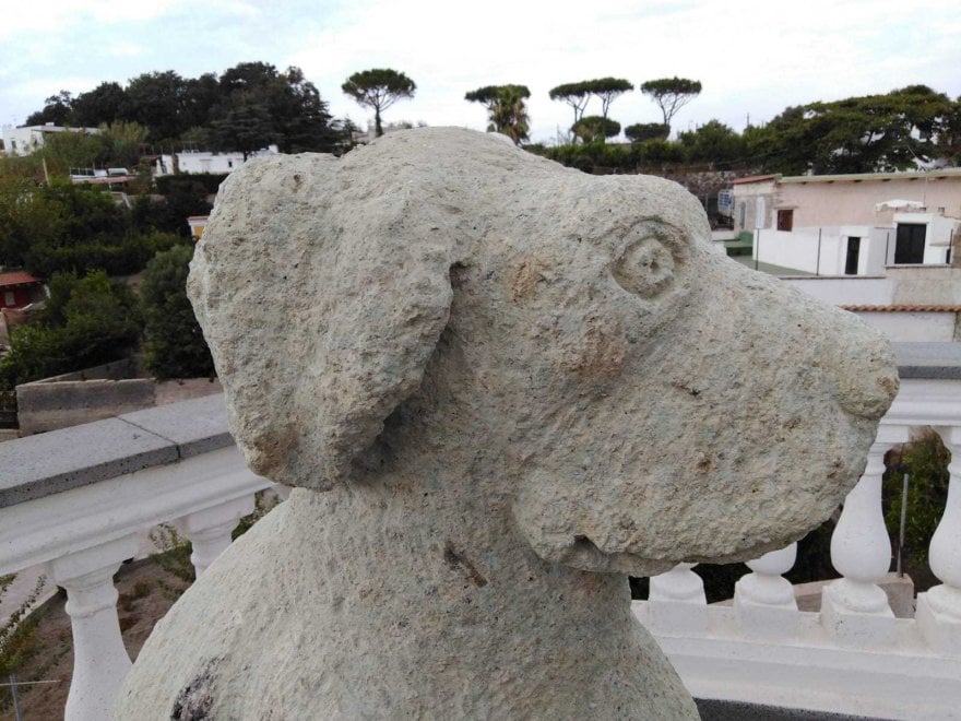 Forio d'Ischia, ecco la statua dedicata a Nicoletta: il cane che vegliò ...