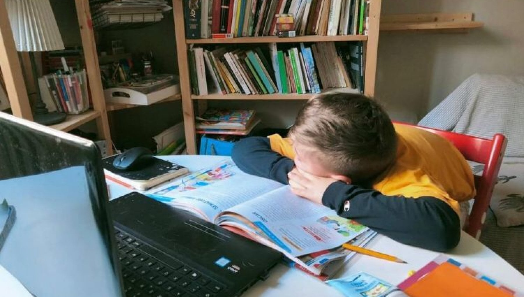 Chi Ha Trovato Lavoro Con Scienze Politiche