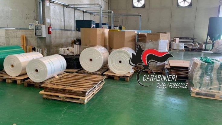 Sequestrati in un'azienda di Caivano 320 chili di shoppers illegali - la  Repubblica