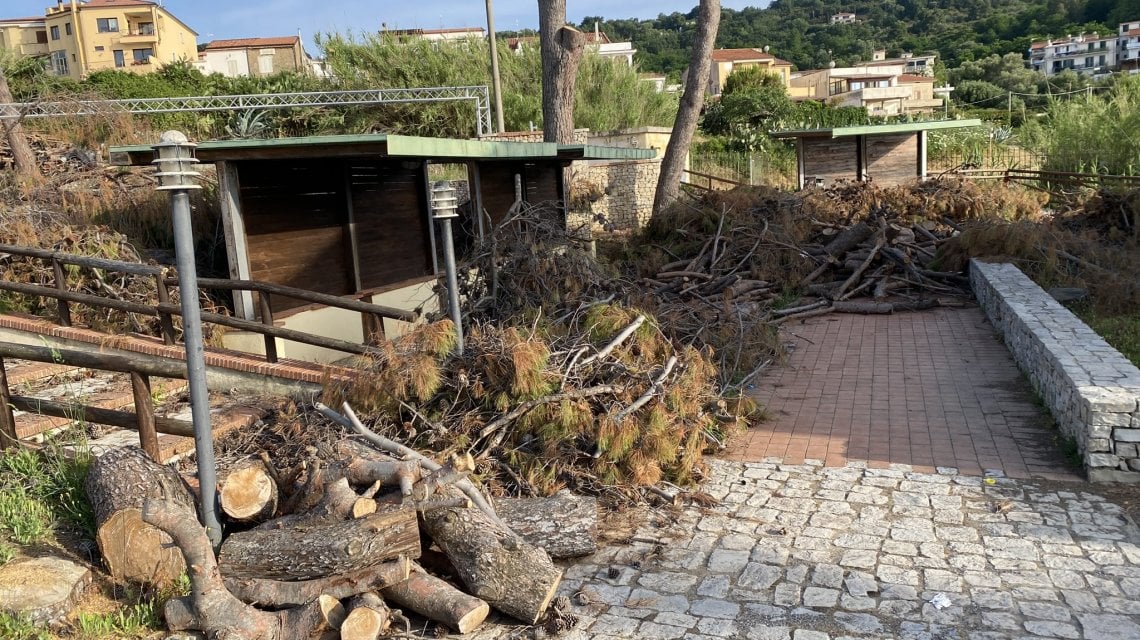 Pineta devastata a Palinuro: "Adesso da quelle case si può ammirare il ...