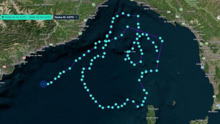 Napoli e la tartaruga di Kemp: un simbolo di speranza o un grido d’allerta per il mare?