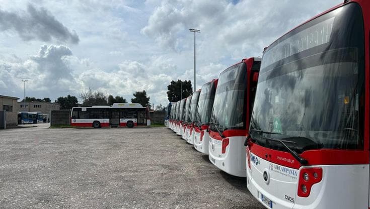 Vigilanza armata sui bus: vittoria della sicurezza o violazione dei diritti?