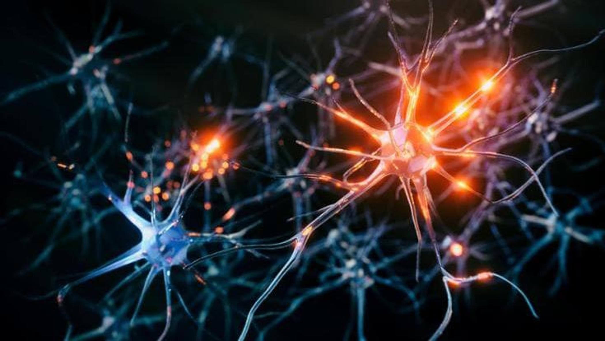 Ultrasuoni contro il Parkinson: 10 pazienti testano nuova terapia