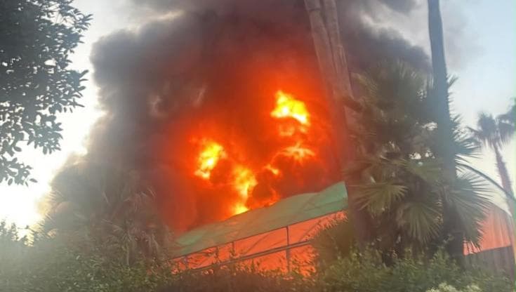 Ottaviano: incendio in un vivaio rischio inquinamento. Il sindaco: "Scuole chiuse e restate a casa"
