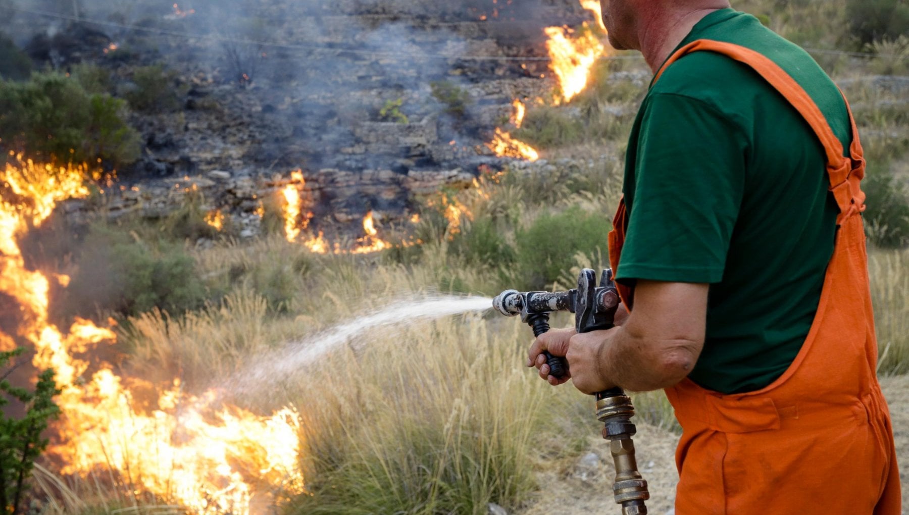 Terreni Incolti E Abbandono Cosa C Dietro Gli Incendi In Sicilia 