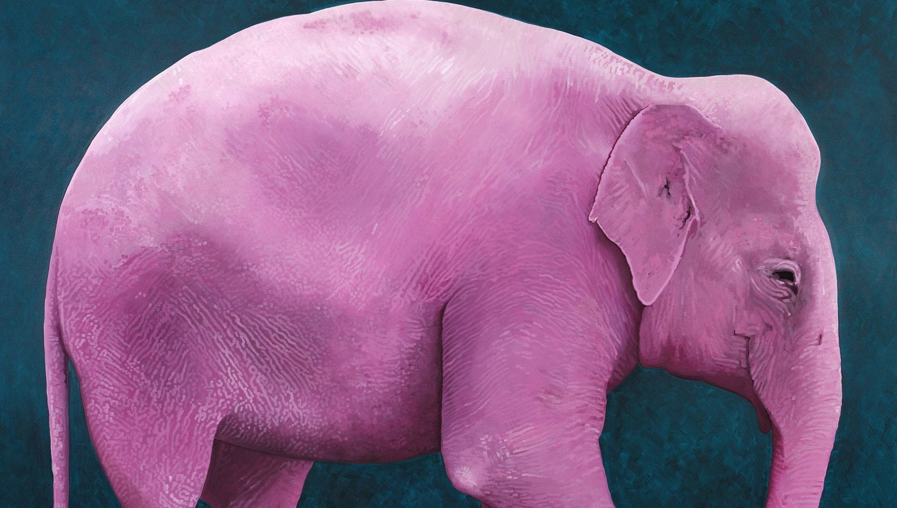 Gli animali colorati di De Martini in mostra a Palazzo Sant'Elia - la ...