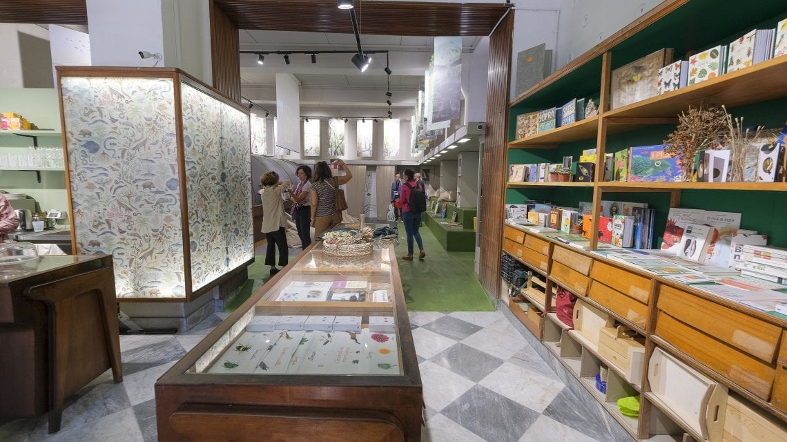 Nasce "Radici", un piccolo museo della natura nell'ex cartoleria - la