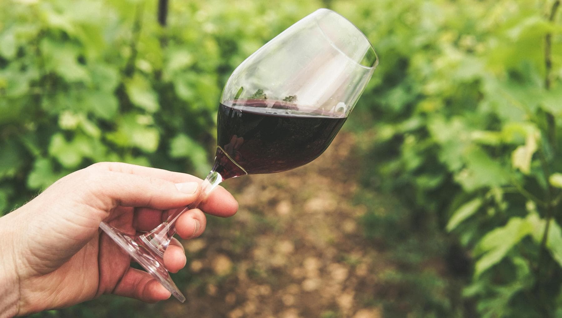 Due milioni di donne molestate sul lavoro, dal Sicilia Wine il manifesto Ue contro la violenza