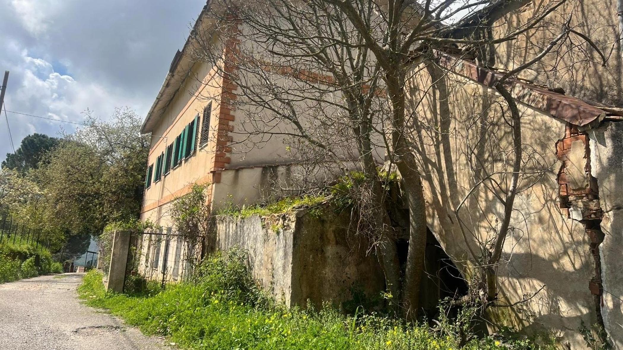 La mamma di Palermo, dagli studi all’estero all’incontro con il guru
