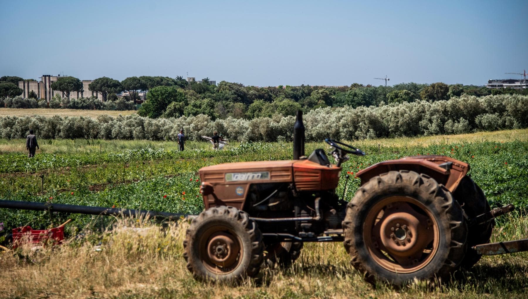 Marsala, aggressioni ai braccianti. Convocato il comitato per l’ordine e la sicurezza