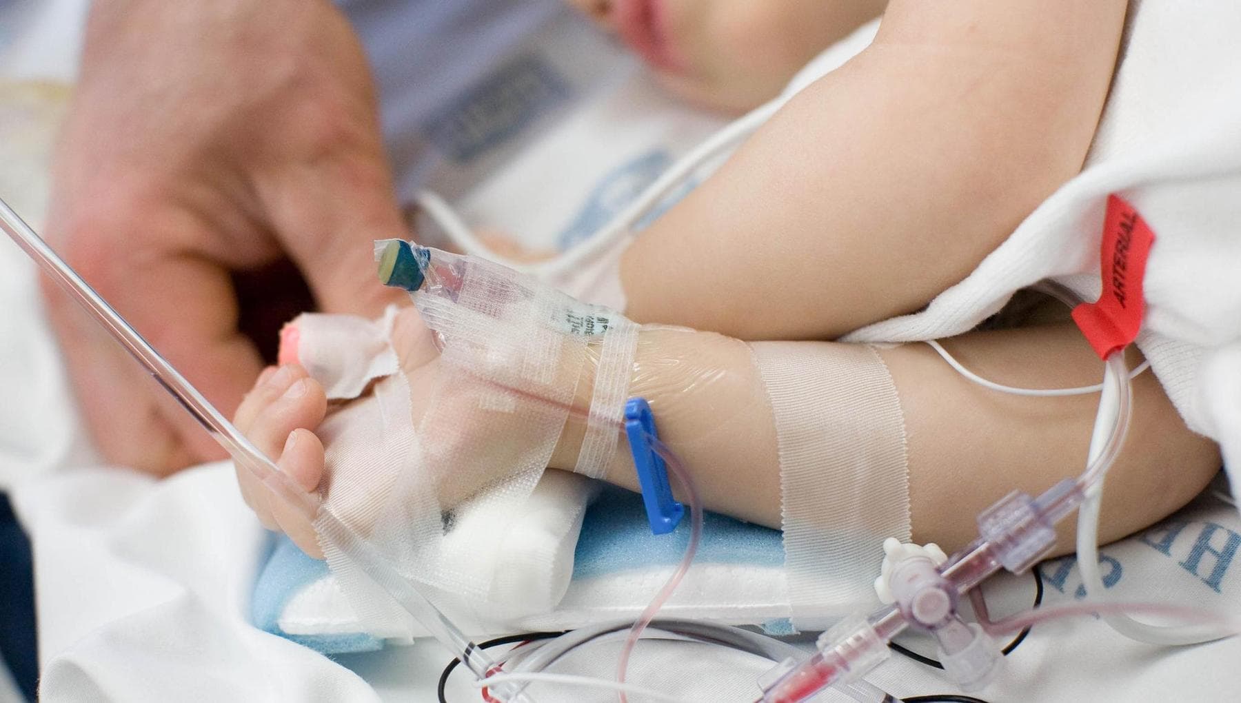 genitori no vax di anna rosa indagati per omicidio colposo non la vaccinarono contro la difterite da Palermo.repubblica.it genitori no vax di anna rosa indagati per omicidio colposo non la vaccinarono contro la difterite