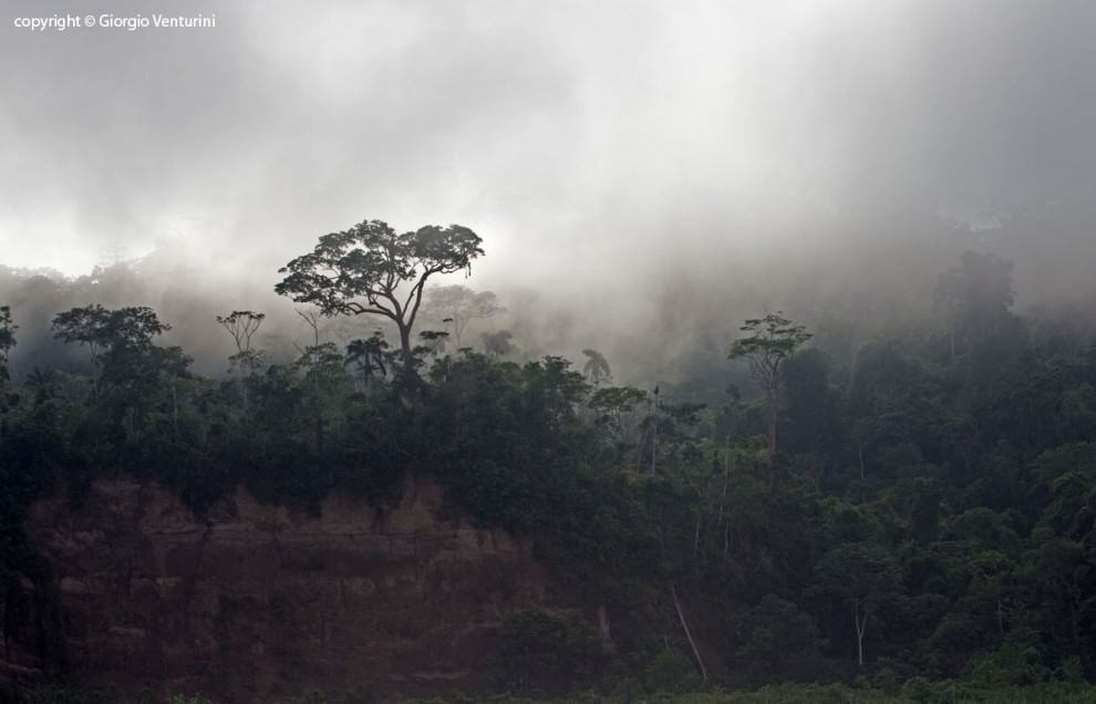 I colori dell'Amazzonia al Museo civico di Zoologia - la Repubblica