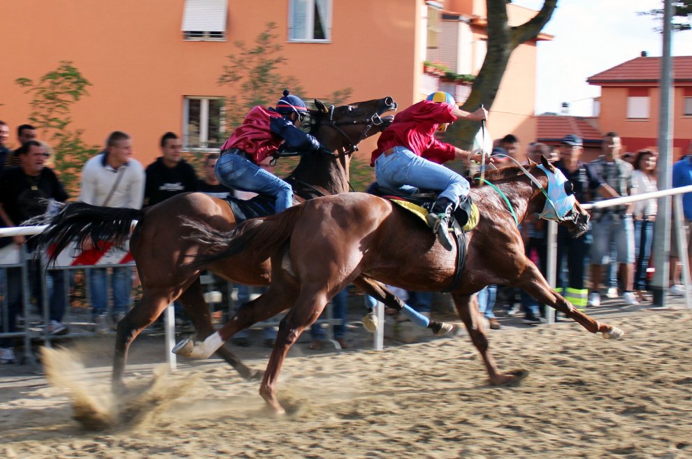 I Cavalli Buoni Si Vedono A Lunga Corsa
