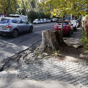 Roma, parte la riqualificazione di via Garibaldi - la Repubblica